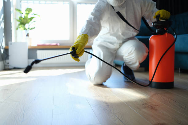 Reliable Hoarding Cleanup contractor in Mount Vernon, VA by Crime Scene Cleaner Online